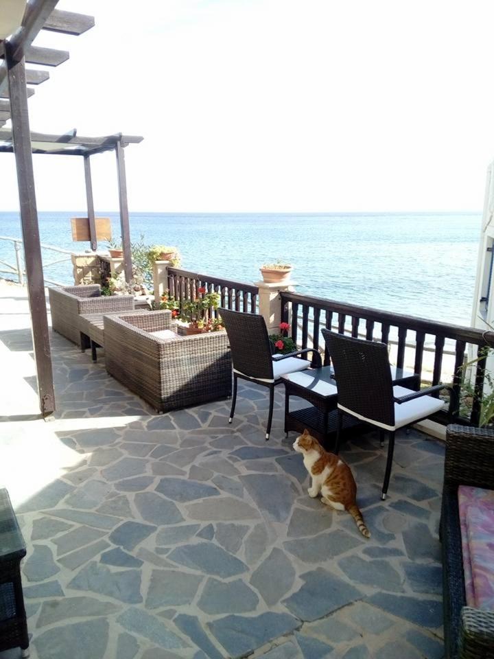 Coral Front Beach Káto Zákros Exterior foto